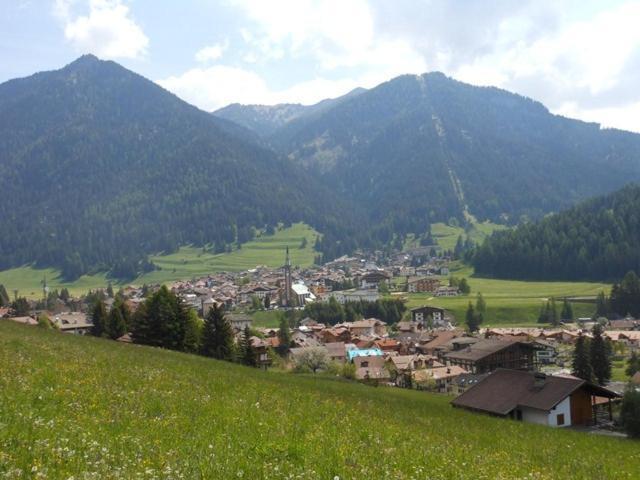Residence Dolomia Pozza di Fassa Bagian luar foto
